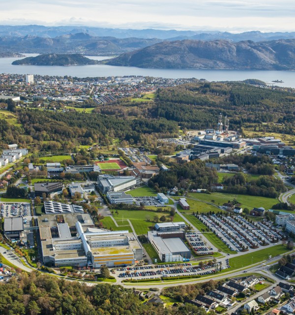 10 reasons to choose the University of Stavanger